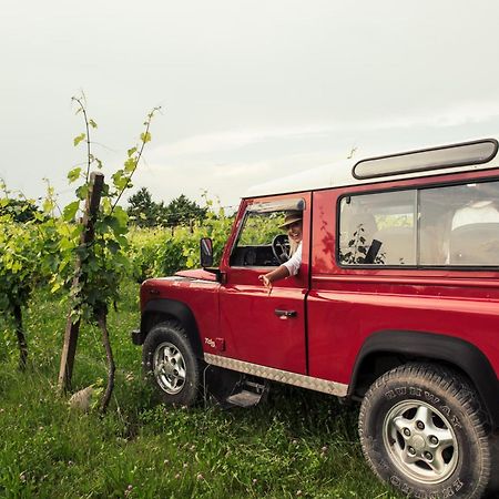 Agriturismo I Mischi Castelnuovo del Garda Eksteriør bilde