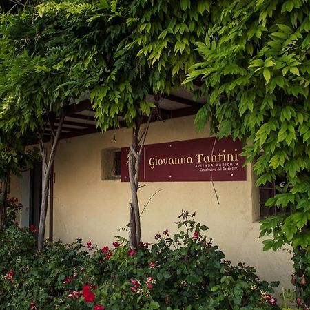 Agriturismo I Mischi Castelnuovo del Garda Eksteriør bilde