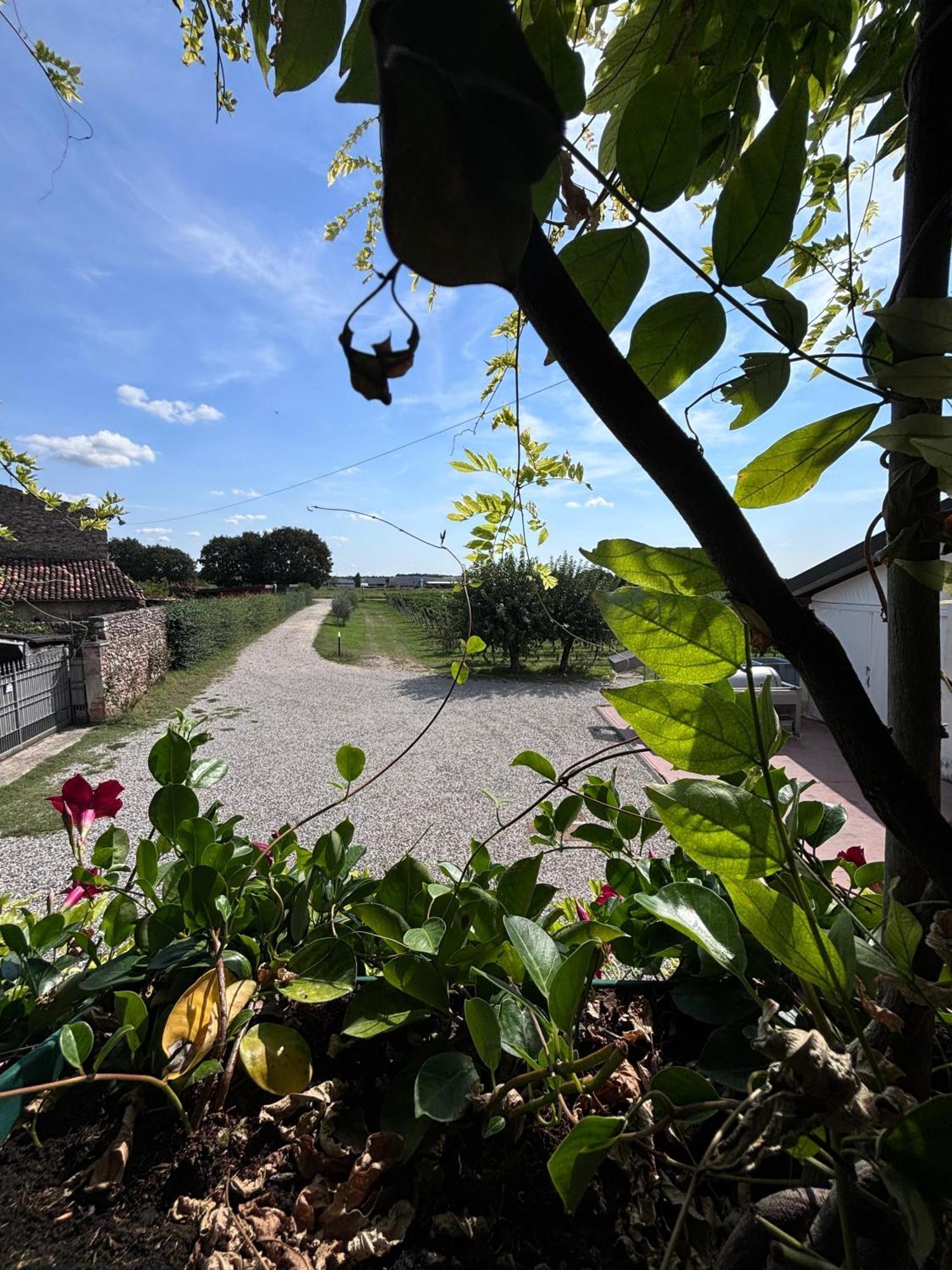 Agriturismo I Mischi Castelnuovo del Garda Eksteriør bilde